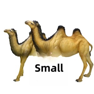 Statua Personalizzata Dipinta a Mano in Resina FRP, Set Famiglia di Cammelli per Decorazione di Parchi a Tema e Zoo - Product Image 5