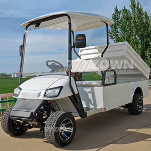 Voiturette de golf électrique écologique avec grand coffre de chargement pour l'entretien des villas - Product Image 6