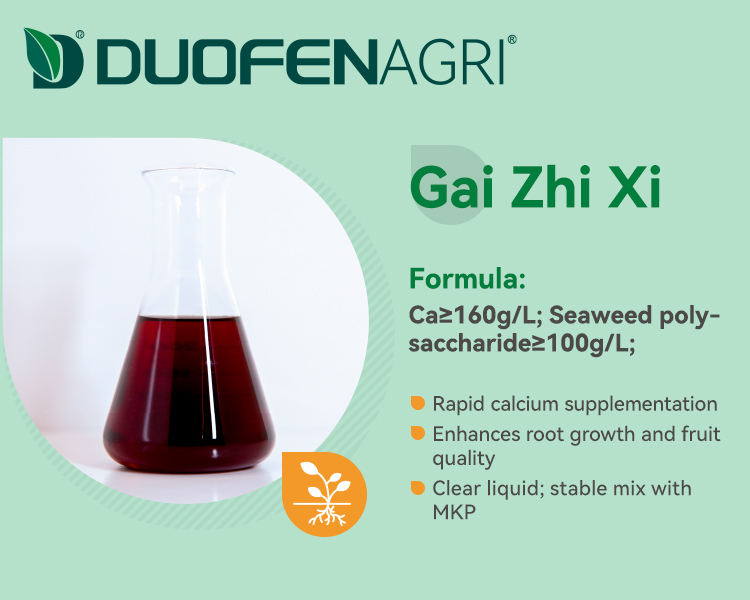 Wholesale Liquid Chelated Calcium Mg B Zn Foliar Fertilizer image 5