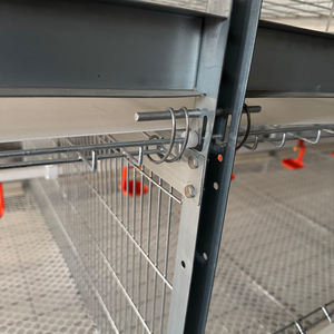 Gabbia Automatizzata per Polli da Carne con Batteria da 5 a 6 Settimane, Nuova Condizione, Allevamento per Conigli e Uccelli per Fattorie in Kenya - Product Image 4