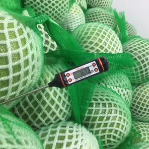 Top Preço Green Skin Pomelo Toranja de Viet Nam Pink Flesh Para EUA, Europa-Linda Whatsapp 0084989322607