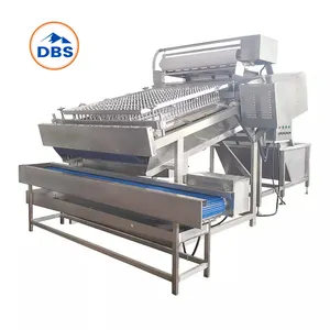 Good Quality 304 Stainless Steel Automatic Shrimp Shelling Machine Electric Shrimp Peeler Machine For Seafood Processing