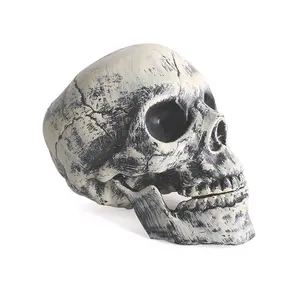 Esqueleto de plástico de tamaño real, modelo de calavera de Halloween, gran oferta