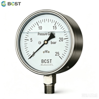 BCST YFT-110 Stainless Steel Analog Pressure Gauge 0.1~100Mpa Measurement Range