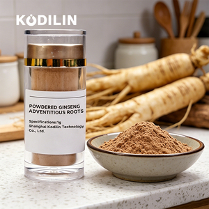 Kodilin Ultra Fine Powder <strong>Synergistic</strong> 13 Saponins Mild Nourishing Powdered Ginseng Adventitious Roots - Product Image 1
