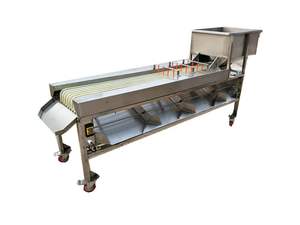 Electric Low Noise <b>Fruit</b> Cherry Blueberry Fruits <b>Vegetable</b> Sifting Grading Sorting <b>Machine</b> - Product Image 2