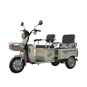 Nouveau et populaire <span class=keywords><strong>tricycle</strong></span> électrique de loisirs urbains Véhicule touristique urbain multifonctionnel utilisé pour le transport de marchandises par des adultes - Product Image 5