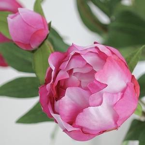 High-quality Handmade Silk Peony Artificial Flowers Isleforest Oriental Style One Bloom Bud for Home Wedding Photography Props - Product Image 6