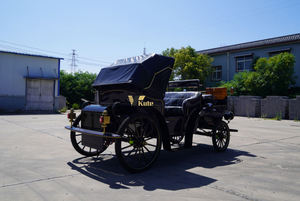 Chariot de tourisme vintage à châssis renforcé, chariot électrique à chevaux haute capacité pour passagers - Product Image 4