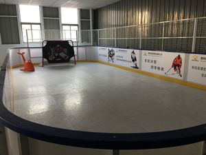 Patinoire synthétique Uhmwpe Planche de tir à rouleaux Hdpe Skating Flooring - Product Image 4