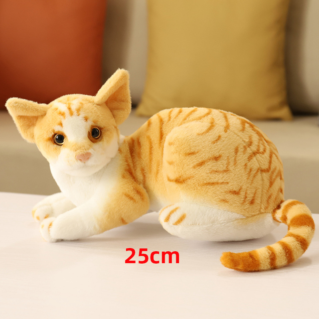 25cm orange cat