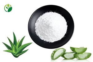 Fabrika Tedarikli Yüksek Kalite En İyi Fiyat <span class=keywords><strong>Aloe</strong></span> <span class=keywords><strong>Vera</strong></span> Ekstresi 100:1 200:1 Toz Doğal <span class=keywords><strong>Aloe</strong></span> <span class=keywords><strong>Vera</strong></span> Ekstresi Dondurarak Kurutulmuş Toz - Product Image 3