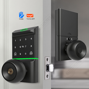 알루미늄 합금 볼 스마트 잠금장치 생체 인식 지문 터치 키패드 RFID 카드 노브 TTlock 투야 스마트 잠금 클라우드 앱 - Product Image 2