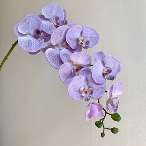 Orchidée Phalaenopsis Artificielle Muyu Chronicles, Branche Unique, Violet Clair, 9 Têtes, Décoration de Mariage - Product Image 1