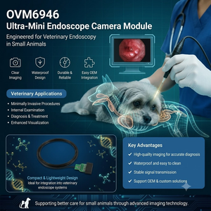 Module de caméra endoscopique miniature 16 K pixels, caméra médicale OVM6946, étanche IPX8, ISO 13485, prise en charge de la personnalisation - Product Image 3