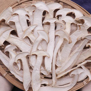 Yunnan-<span class=keywords><strong>Matsutake</strong></span> de Frozen de alta calidad, seta de trichocoma salvaje, precio bajo - Product Image 6