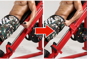 <strong>Home</strong> Gym Fitness Adjustable Bench With Trainer Leg Extension Straching Machine Vertical Leg Press <strong>Hack</strong> Squat Machine - Product Image 6