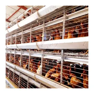 암탉 달걀 닭을 낳기위한 저렴한 가격 자동 아연 도금 배터리 가금류 농장 층 케이지