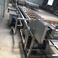 Machine automatique à laver les légumes, 5 pièces, outil de nettoyage des pommes de terre, cuisine commerciale