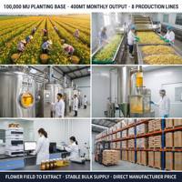 Poudre de qualité alimentaire pure, approvisionnement OEM d'extrait de chou-fleur avec vitamines, conditionné sous vide en bouteille ou en conteneur plastique