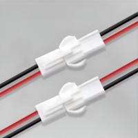 Connecteur de fil électrique automobile Mini Tamiya mâle femelle 2Pin moto voiture