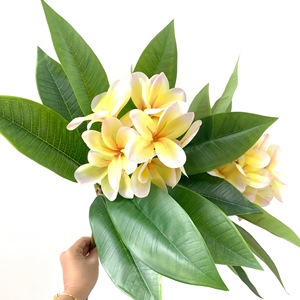Nouvel Arrivage H-1006 – Fleurs Artificielles de Plumeria Rubra (<span class=keywords><strong>Frangipanier</strong></span>) pour Mariages, Événements, Décoration Tropicale <span class=keywords><strong>et</strong></span> Hôtels - Product Image 4