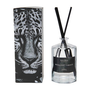 Difusor de Aromaterapia de Lujo OEM/ODM con Aceites Esenciales sin Fuego, Difusor de <span class=keywords><strong>Perfume</strong></span> Personalizado al por Mayor para Decoración del Hogar, Juegos de Regalo - Product Image 1