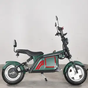 EECアダルト電動バイクスクーターバイク1000ワット1500ワット2000ワット電動キックスクーター