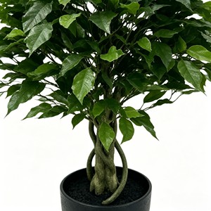 Árboles de Banyan Artificiales - Product Image 6