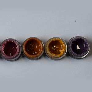 Gusrom CORAL: Polvere Colorante Ceramica da Laboratorio Odontotecnico, Smalto per Tecnici, Accessori per Apparecchiature di Terapia Orale, Blocco di Zirconia - Product Image 4