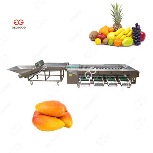 Automatic Pumpkin <b>Brush</b> Cleaner Fruit Banana Cleaning Brusher Fruit Mango Date Washing Drying And Sorting Line - Product Image 5