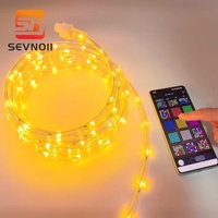 RGB-LED-PVC-Lichterketten für den Außenbereich mit IP65-Schutzklasse für Landschaftsbeleuchtung