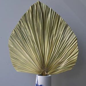 Feuilles de palmier séchées naturelles, plantes de pampa teintes et préservées, fleurs séchées en gros, grandes fleurs séchées pour mariage, décoration bohème à la maison - Product Image 4