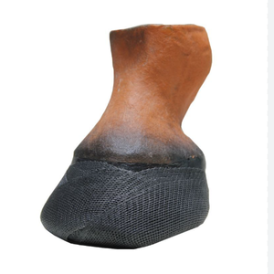 Senolo Meilleure vente 3 pouces 4 pouces fer à <span class=keywords><strong>cheval</strong></span> coulée fer à <span class=keywords><strong>cheval</strong></span> sabot soin prix usine vétérinaire pansement <span class=keywords><strong>cheval</strong></span> <span class=keywords><strong>sangle</strong></span> - Product Image 1