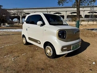 Voiture électrique pure FAW BESTUNE PONY XIAOMA 2024 la plus populaire, modèle 122 km, mini-voiture électrique mignonne en forme de cheval