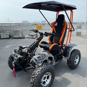 Scooter électrique professionnel robuste pour adultes, fabriqué en usine, 4 roues - Product Image 1