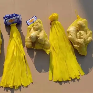 China HUIGOR PE PP Extruded plastic soft tubular Fruit Protective Mesh Sleeve Net bag for Vegetables Garlic Ginger Eggs in roll