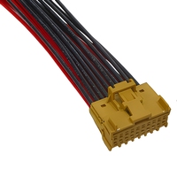 Câble de connexion Micro Quadlok TE MQS 0,64 mm, faisceau de câblage 20 broches pour ECU automobile et recharge de véhicules électriques