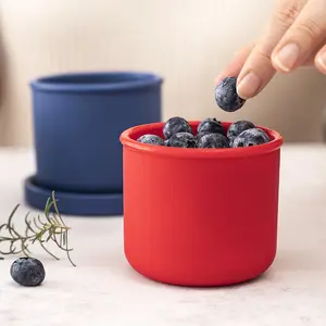 Thân Thiện Với Môi Vuông Mini Snack Silicone Bento Hộp Ăn Trưa Xách Tay Duy Nhất Ngăn Leakproof Container Thực Phẩm Cho Người Lớn Ở Nhà