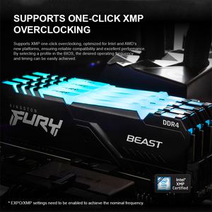   Memoria RAM DDR4 Fruy Beast RGB 3200 para Portátil, Módulo Único, Intel XMP, AMD Ryzen, Bajo Consumo de Energía - Product Image 6