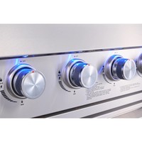 Barbecue à gaz modulaire en acier inoxydable avec évier et réfrigérateur, facilement déplaçable, doté de brûleurs latéraux