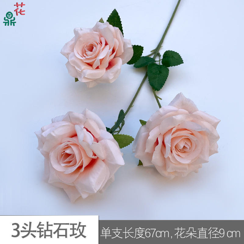 เพชรสามเม็ดเพิ่มขึ้นสีชมพูแชมเปญ