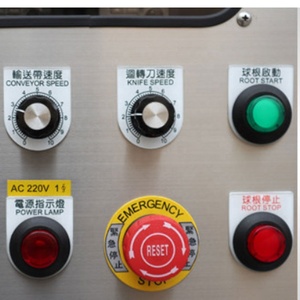 เครื่องตัดผักแบบอัตโนมัติ,เครื่องหั่นผักผลไม้แบบผักในศรีลังกา - Product Image 5
