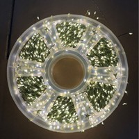 Ligne verte transfrontalière LED fil de cuivre arbre de Noël chaîne télécommande pétard pour fleur extérieure plante verte vigne