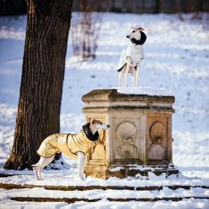 Qiqu – manteau chaud imperméable pour chien, nouveau, personnalisé, veste d'hiver pour chien, grand gabarit italien, <span class=keywords><strong>iggy</strong></span> - Product Image 2