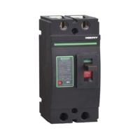 Disjoncteur DC 2P Mccb 250a Boîtier moulé 175amp Boîte moulée Disjoncteur à 250amp Marque Disjoncteur