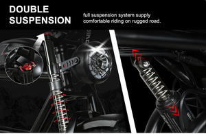 OEM/ODM 1000D Ebike 48V Fat Tire Electric Bicycle with Rear Hub Brushless Motor Steel Frame Lithium Battery - Product Image 4