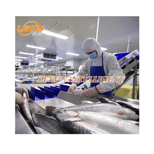 Salmon <strong>Processing</strong> Line <strong>Fish</strong> <strong>Processing</strong> <strong>Machines</strong> - Product Image 1