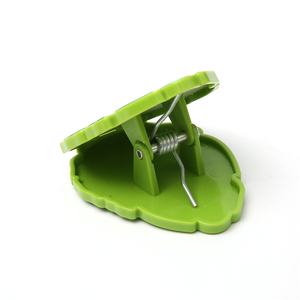 Promotion personnalisée <span class=keywords><strong>de</strong></span> pinces à tissu feuille arrière <span class=keywords><strong>de</strong></span> tortue pinces à serviettes en plastique pour chaise <span class=keywords><strong>de</strong></span> <span class=keywords><strong>plage</strong></span> - Product Image 3