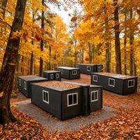 Maison conteneur de luxe détachable et extensible, moderne, à 2 étages, en grain de bois, respirante, préfabriquée, insonorisée, mobile pour l'extérieur
